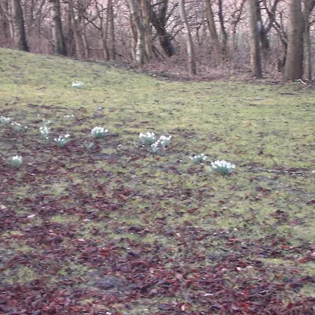 مزرعة للإقامة Astrupgaard Farm Skærbæk